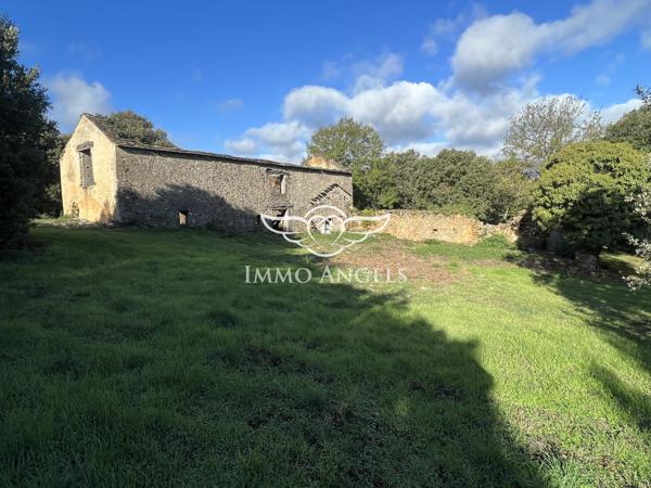 Domaine d’exception au cœur de la nature – 45 hectares – Saint-Pons-de-Thomières