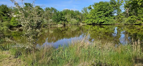 Terrain de loisir à MIGNE (36800)