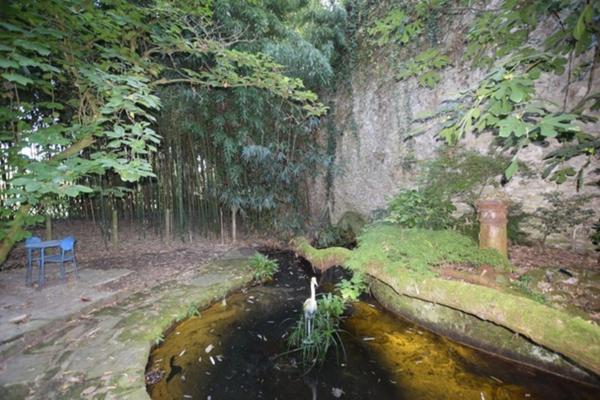 VIAGER OCCUPE, centre historique d'Autun, propriété de 319 m2 avec 2918 m2 de terrain, vue plan d'eau