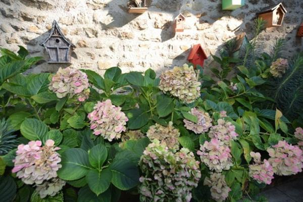 VIAGER OCCUPE, centre historique d'Autun, propriété de 319 m2 avec 2918 m2 de terrain, vue plan d'eau