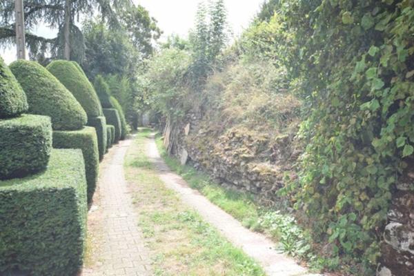 VIAGER OCCUPE, centre historique d'Autun, propriété de 319 m2 avec 2918 m2 de terrain, vue plan d'eau