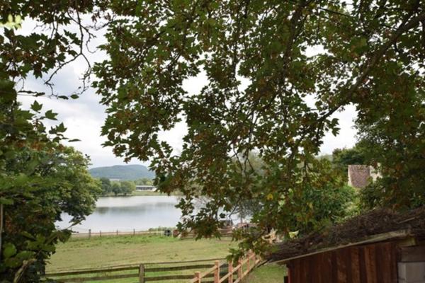 VIAGER OCCUPE, centre historique d'Autun, propriété de 319 m2 avec 2918 m2 de terrain, vue plan d'eau