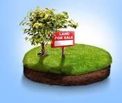 Terrain de 2 163 m²