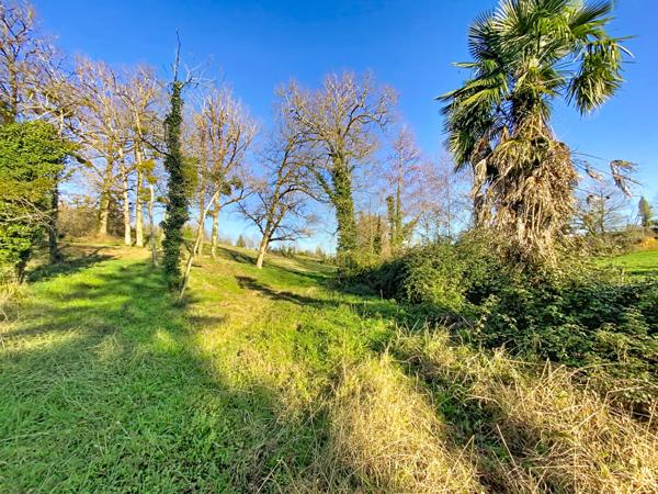 Castelnau-Chalosse (40360) Maison 140 m² avec dépendances et 18 000 m² de terrain