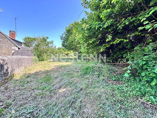 Vente maison spacieuse en pierre de Loire de 149 m² à Saint-Pierre-du-Lorouër (72150)