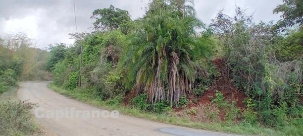 Terrain à bâtir de 7647 m² à vendre DEMBENI (976)