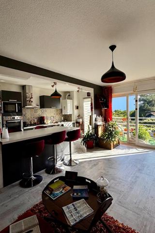 T3 avec grande terrasse et vue sur les Pyrénées