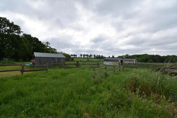 Ferme idéale pour petit élevage équin - 2,8ha en Nord Haute Vienne