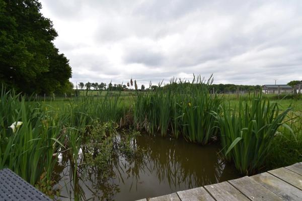 Ferme idéale pour petit élevage équin - 2,8ha en Nord Haute Vienne