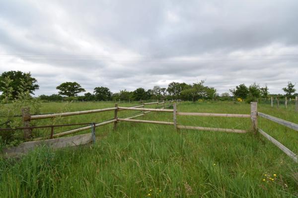 Ferme idéale pour petit élevage équin - 2,8ha en Nord Haute Vienne