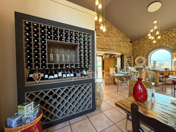 Mas en pierre à vendre 10 pièces 434 m2 dont 1 appart.132m2 + Piscine et Bassin naturel parking 20 voitures