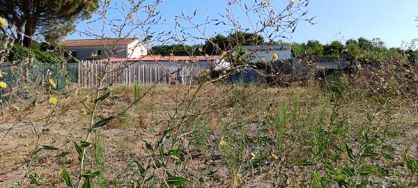 2 Terrains Vertou planty viviers de 239 m2 et 289 m2