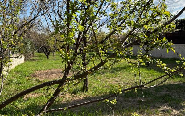 Terrain à vendre    Lédenon