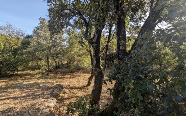 Maison à vendre    3 pièces •  Méjannes-le-Clap