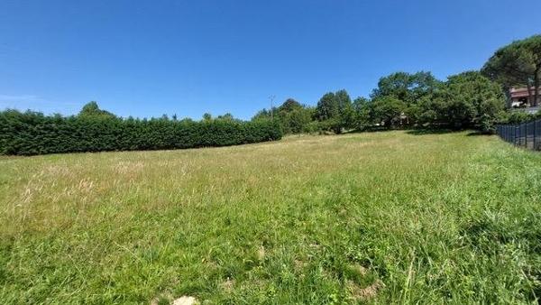 Vente / Terrain constructible