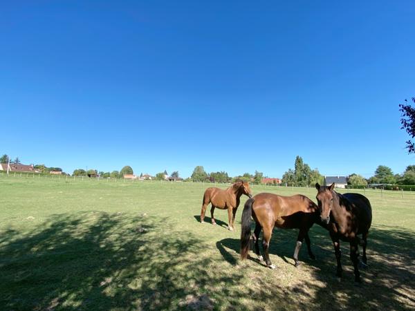 Houdan (78550) Maison familiale 316 m² avec piscine