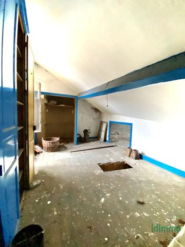 Opportunité rare au coeur d' Annonay ! Duplex à rénover de 121 m² avec une grande terrasse couverte Annonay (07100)