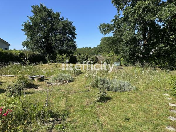 Terrain
        
        - 410 m² Exclusivité 99 000 € *