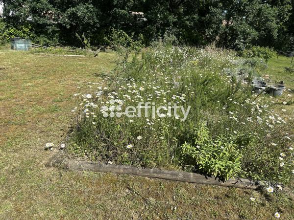Terrain
        
        - 410 m² Exclusivité 99 000 € *