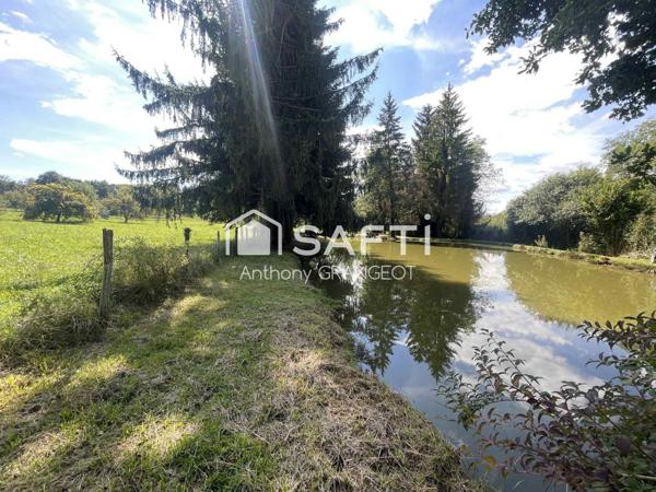 SUPERBE ETANG AVEC GRAND TERRAIN