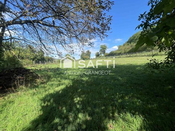 SUPERBE ETANG AVEC GRAND TERRAIN