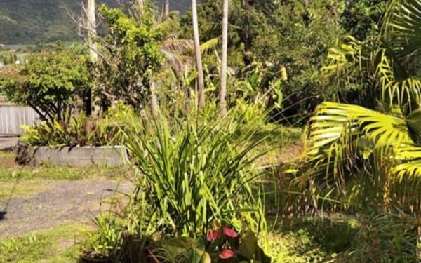 Maison à vendre    7 pièces •  Saint-Louis