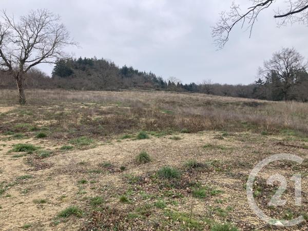 terrain à vendre 891 m2 DESERTINES - 03