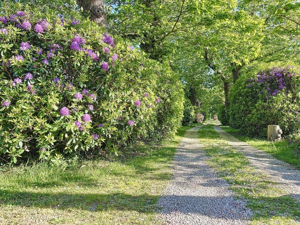 Propriété de caractère, dépendances, piscine et 4 hectares dans un cadre bucolique et idyllique