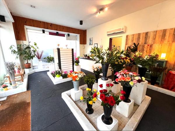 Immeuble à vendre |  Pauillac |  265 m²