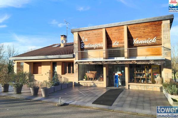 MAISON 270 M2 AVEC APPARTEMENT 91 M2 ET LOCAL PROFESSIONNEL 179 M2