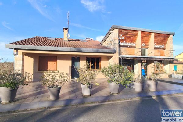 MAISON 270 M2 AVEC APPARTEMENT 91 M2 ET LOCAL PROFESSIONNEL 179 M2