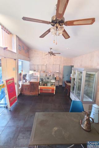 MAISON 270 M2 AVEC APPARTEMENT 91 M2 ET LOCAL PROFESSIONNEL 179 M2