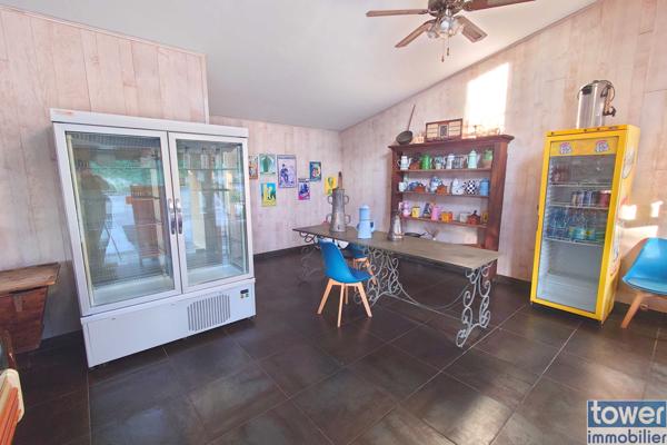 MAISON 270 M2 AVEC APPARTEMENT 91 M2 ET LOCAL PROFESSIONNEL 179 M2