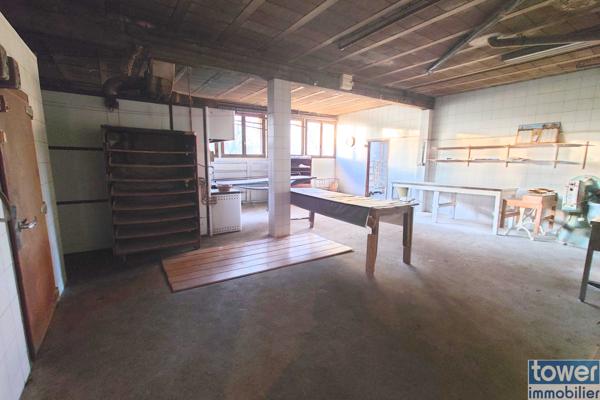 MAISON 270 M2 AVEC APPARTEMENT 91 M2 ET LOCAL PROFESSIONNEL 179 M2