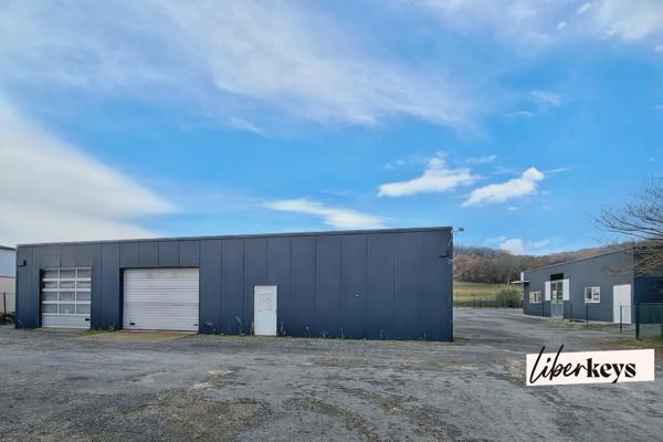 Ensemble Immobilier Professionnel de rapport - Zone des Cauquillous à Lavaur - A68 à moins de 5 mn