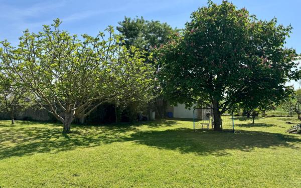 Maison à vendre    3 pièces •  Saint-Clément-des-Baleines