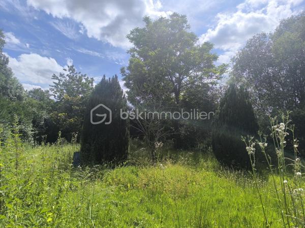 Venez découvrir cette maison à rénover de centre-bourg, située dans une petite commune, à seulement 10 minutes de Saint-Calais et à 15 minutes de Bouloire et du Grand Lucé.

Elle comprend au rez-de-chaussée un séjour, une cuisine, une pièce de 40 m², une salle d’eau et un WC.
À l’étage, un palier dessert deux chambres, un bureau pouvant également servir d'une chambre ainsi qu’une seconde pièce d’environ 40 m² que vous pouvez aménager selon vos goûts (une grande chambres, séjour complémentaire...)
Un grenier aménageable sur l’ensemble de la maison offre un espace complémentaire.

Le bien dispose également des dépendances : chaufferie, atelier et cave. Cour. Puits.
Un jardin indépendant de 860 m² complète l’ensemble.

Maison offrant de nombreuses possibilités d’aménagement après travaux et pourquoi pas la création des appartements? 
N'hésitez pas à me contacter pour des renseignements et une visite ,