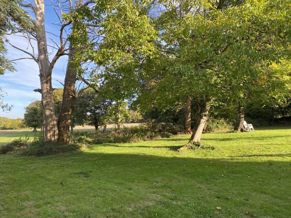 Deux maisons dans un charmant hameau de Bussière Poitevine avec potentiel de revenus