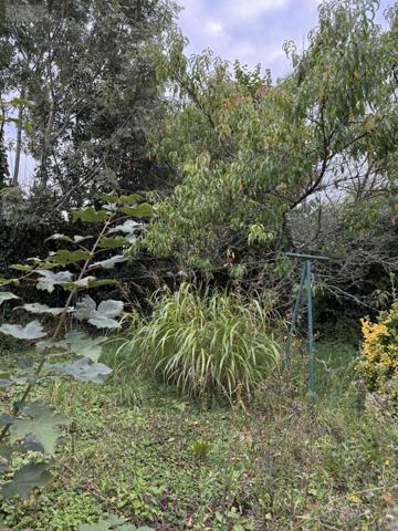 Maison à vendre à Saint-Avé dans le Morbihan (56890), ref : 56002-1437