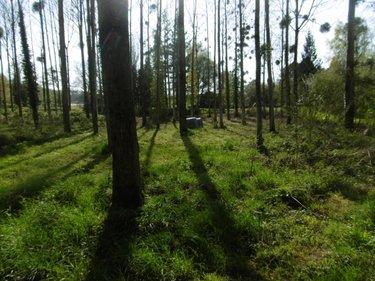 Terrain de loisirs - Bois - Etang à vendre à Pont-Farcy dans la Manche (50420), ref : 14076-5642