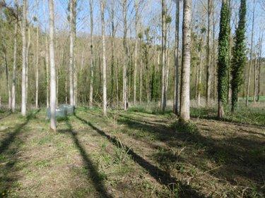 Terrain de loisirs - Bois - Etang à vendre à Pont-Farcy dans la Manche (50420), ref : 14076-5642