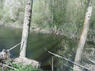 Terrain de loisirs - Bois - Etang à vendre à Pont-Farcy dans la Manche (50420), ref : 14076-5642