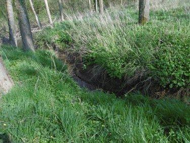 Terrain de loisirs - Bois - Etang à vendre à Pont-Farcy dans la Manche (50420), ref : 14076-5642