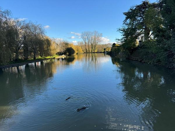 Demeure de prestige 10 mn de St Emilion