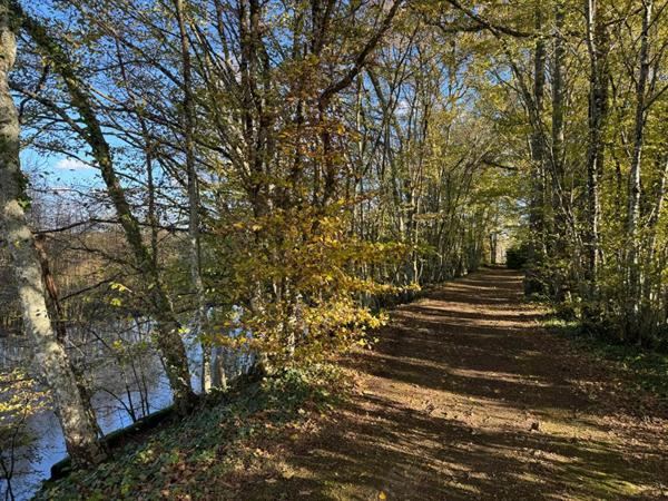 Demeure de prestige 10 mn de St Emilion