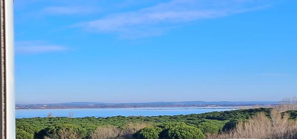 La Grande-Motte (34280) NOUVEAU, RARE, APPART DE 103,27 M2 AU 7 IÈME ET DERNIER ÉTAGE, VUE EXEPTIONNELLE SUR MER ET ÉTANG DE L'OR, PLA