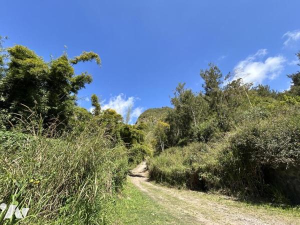 Maison rénovée 3 chambres SALAZIE