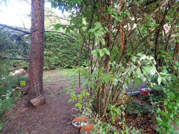 Ceyrat (63), VIAGER OCCUPE, maison de 132 m2 habitables sur 846 m2 de terrain