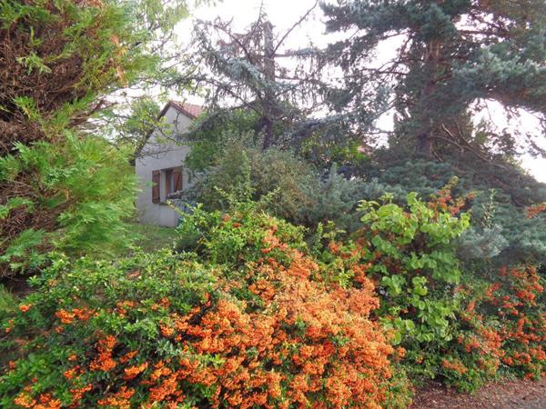 Ceyrat (63), VIAGER OCCUPE, maison de 132 m2 habitables sur 846 m2 de terrain