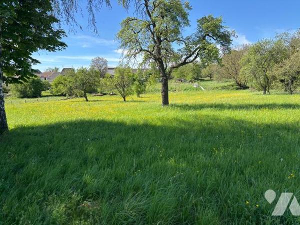 Terrain de loisir situé sur la commune de Remilly -Aillicourt d'une superficie de 2670m².

Id...